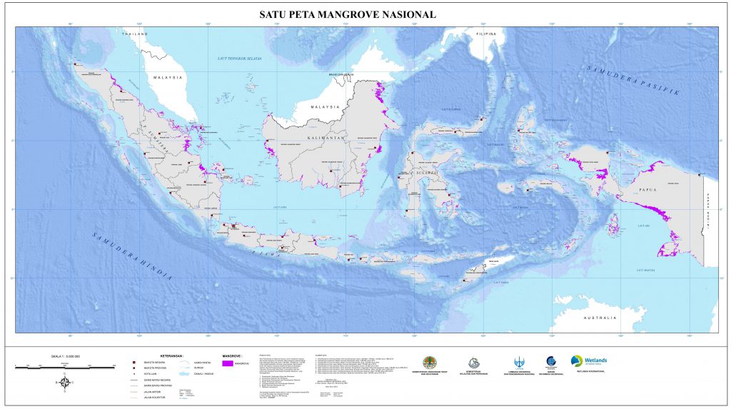 Mangrove: The Next Truf Card Indonesia | Parangtritis Geomaritime